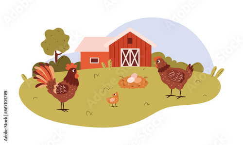 Cute poultry farm with chicken family cartoon vector illustration, hen with chick and rooster, eggs in the nest on lawn