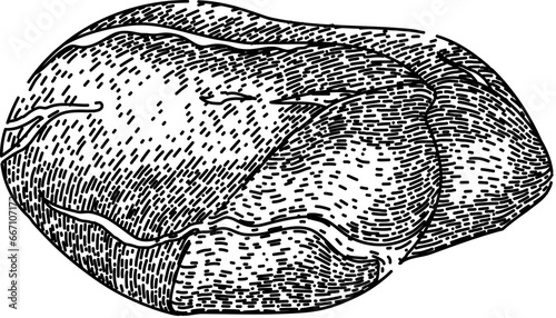 butcher meat hand drawn. sirloin cooking, fresh cut, red barbecue butcher meat vector sketch. isolated black illustration