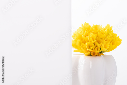 Obraz na płótnie А bouquet of yellow Crocus flowers in white ceramic vase isolated on white background. w salonie