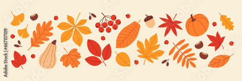 Autumn vector set of bright colourful fall leaves, pumpkins, berries, apple, acorn and chestnut in flat minimal style. © fireflamenco