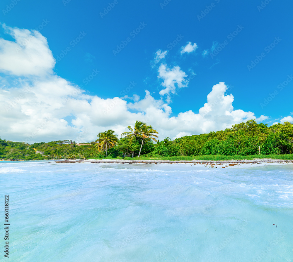 Pointe de la Saline beach seen from the water in Guadeloupe