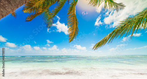 Palm trees and turquoise water in Guadeloupe photo