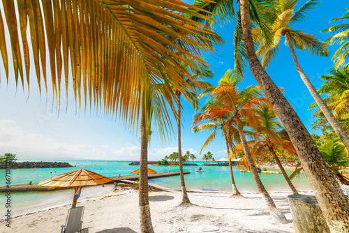 Palm trees and golden sand in Bas du Fort beach in Guadeloupe
