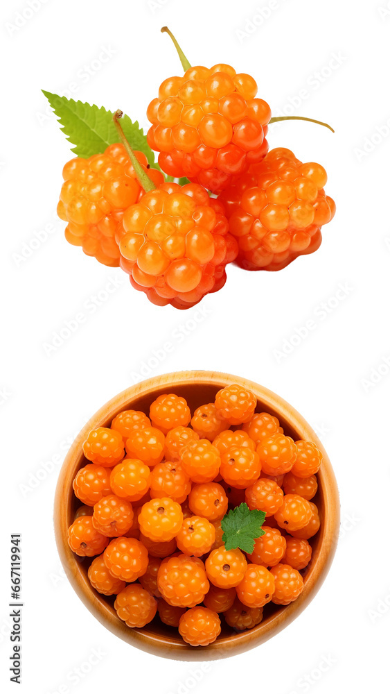 Cloudberry, transparent background, isolated image, generative AI
Cloudberry, transparent background, isolated image, generative AI