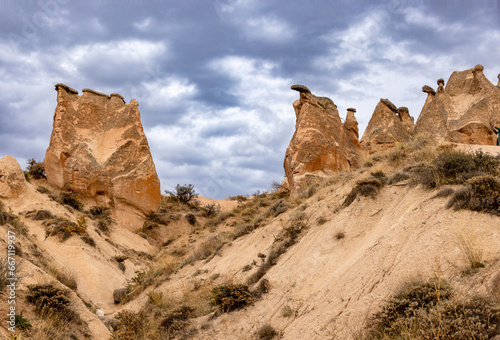 Rock Formation in the Devrent Valley in Cappadocia, Camel Valley, Turkey .