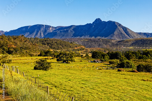 Landscape of green farm land with Langeberg Mountains in background near Riversdale in the Western Cape, South Africa