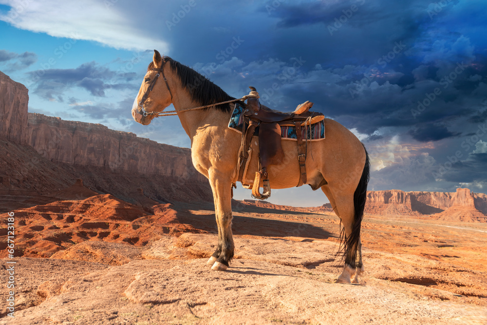 Naklejka premium Horse and saddle 
