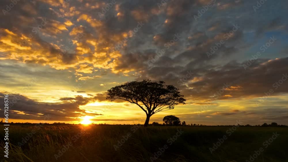 4K Video Time lapse Dramatic golden light in africa with sunrise. Silhouetted trees against bonfire-red and sunflame-golden sky.4K Time-lapse night to day. 4K Video Time lapse Dramatic golden light in africa with sunrise. Silhouetted trees against bonfire-red and sunflame-golden sky.4K Time-lapse night to day.