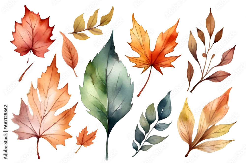 watercolor photo leaves on white background watercolor photo leaves on white background