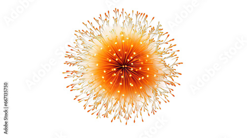 golden firework explosion isolated on a transparent background. Fireworks elements.