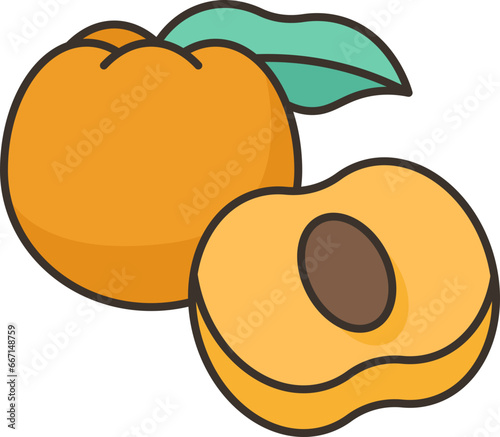 apricot  icon