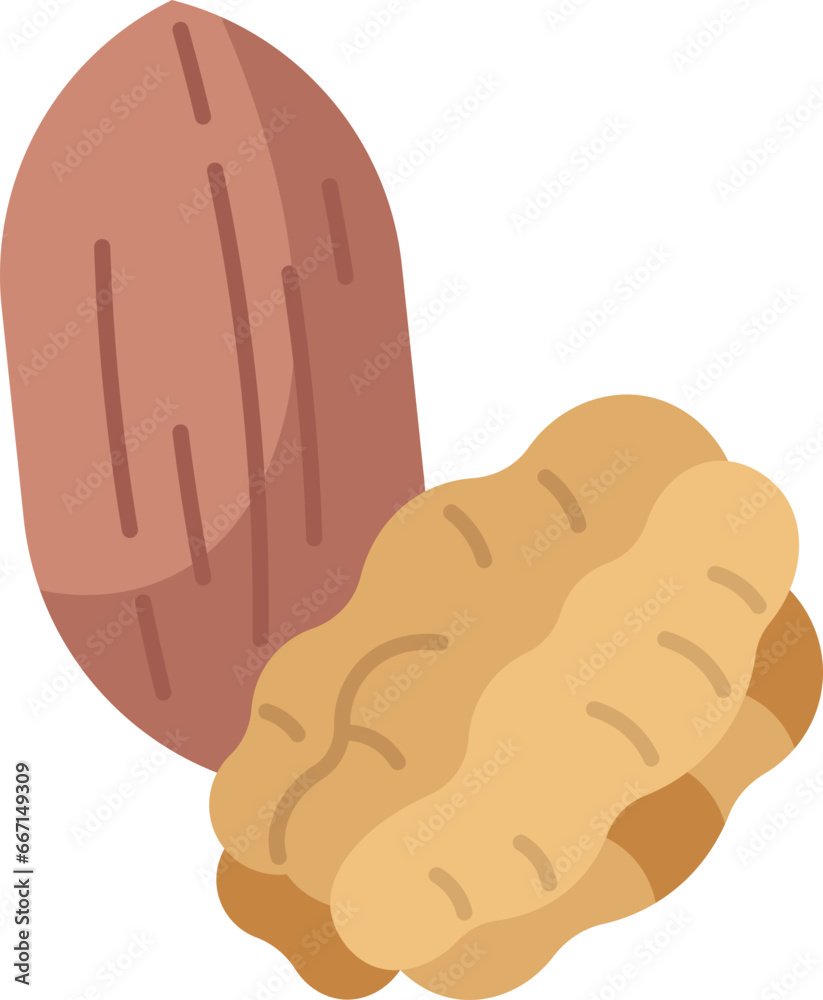 pecans icon pecans icon