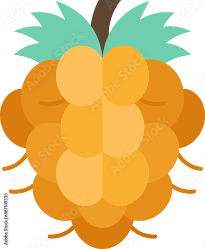 salmonberry  icon