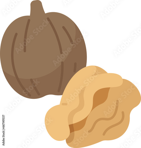 walnuts  icon