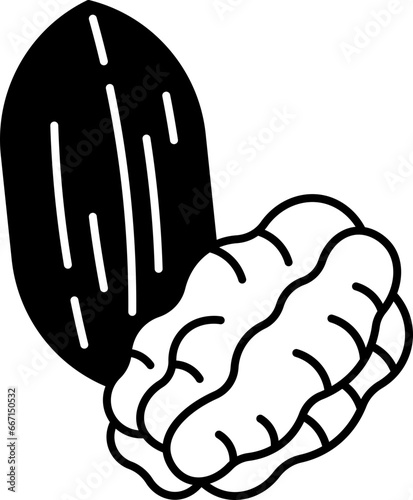 pecans  icon