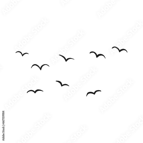 Flock Birds