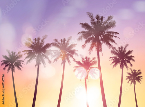 Tropical palm tree with colorful bokeh sun light on sunset sky cloud abstract background. © paul