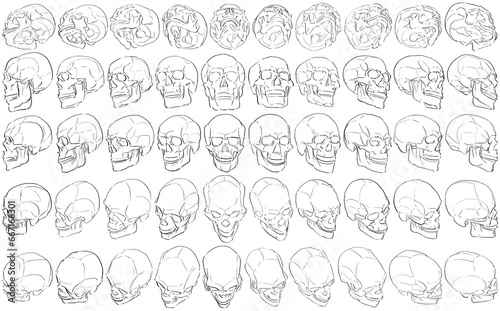 50 Skulls - Digital Art  3D to 2D 