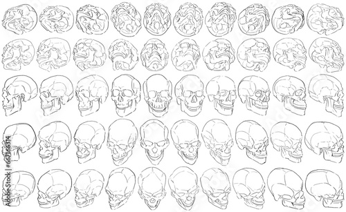 50 Skulls - Digital Art (3D to 2D)