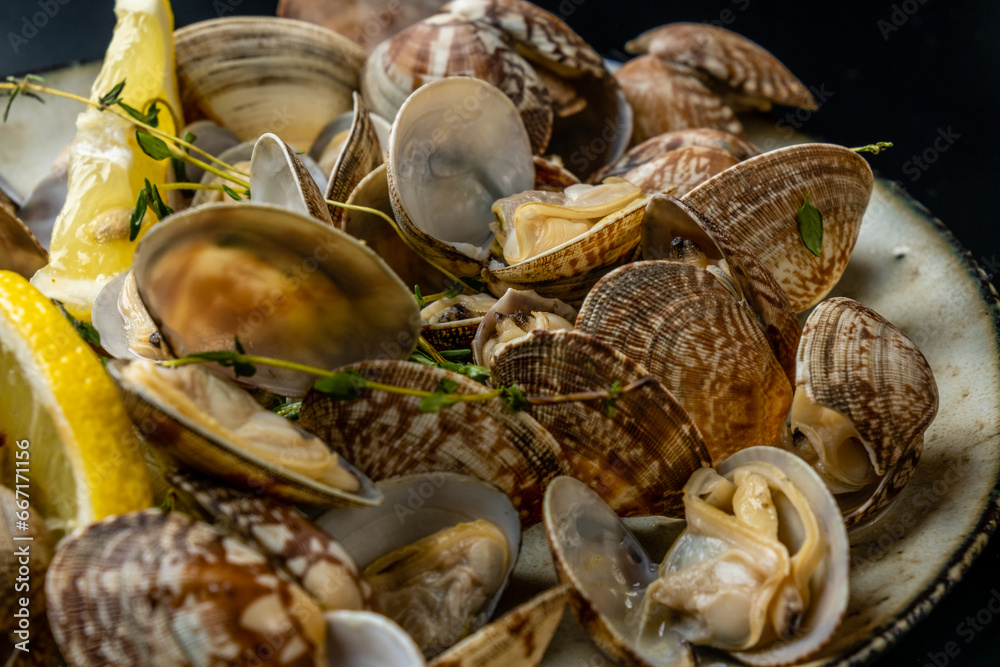 Vongole clams with lemon and herbs close-up, dark background.