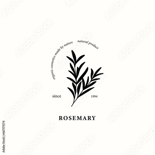 Flat vector rosemary branch illustration