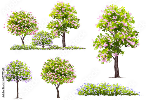 Vertor set of spring blossom tree bloomimg plants side view for landscape elevation and section eco environment concept design watercolor sakura illustration colorful season