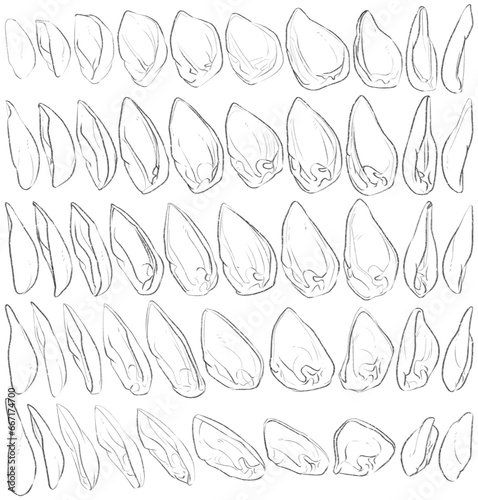 50 Ears - Digital Art (3D to 2D)