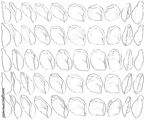 50 Ears - Digital Art (3D to 2D)