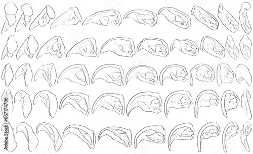 50 Ears - Digital Art (3D to 2D)
