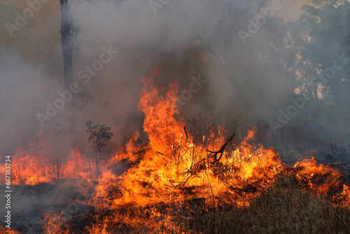 A stunning veld fire in a field in between a suburb and a railway. Showing the death and destruction of an uncontrolled fire. looks like a war scene showing the after effects.