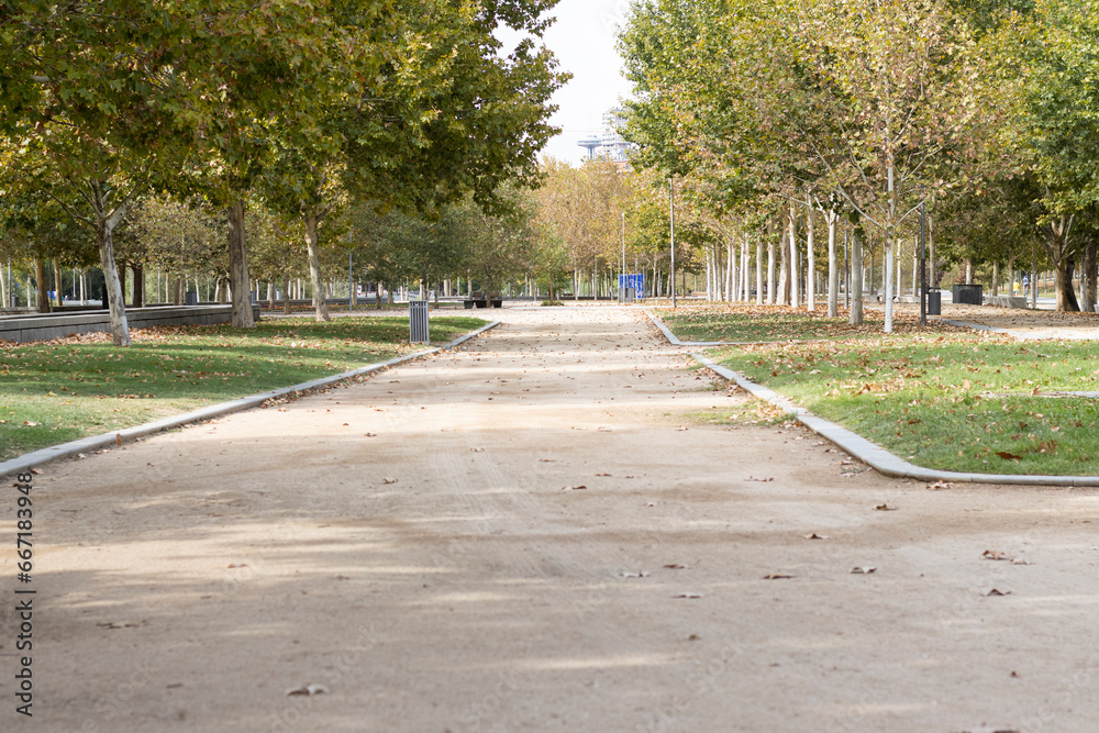 Fototapeta premium manzanares park