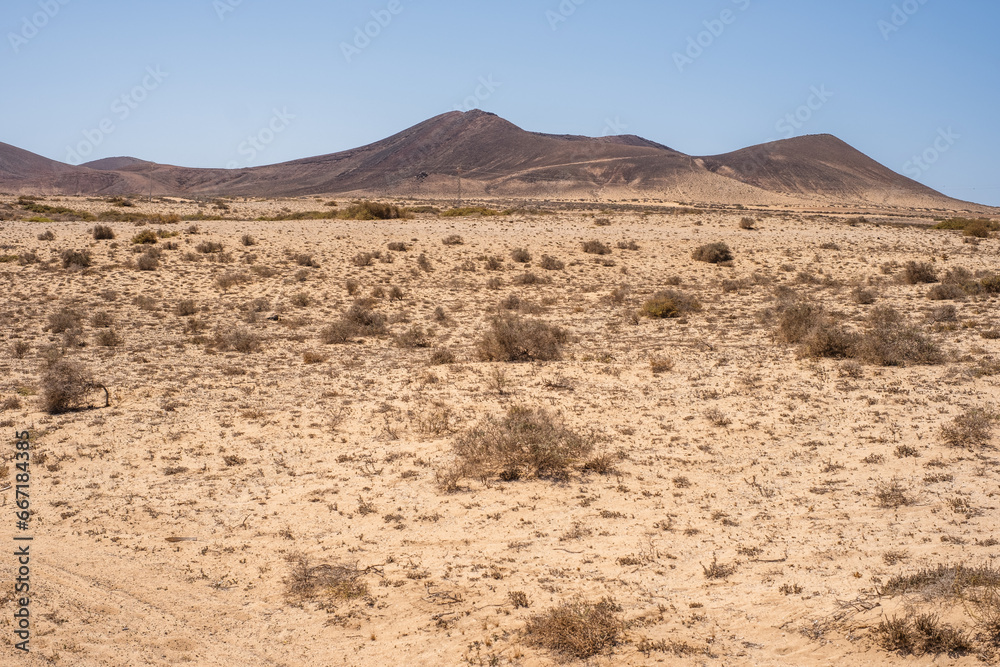 Desert landscape of white sand and desert shrubs. mountains in the background. Sky with big white clouds. Lanzarote, Canary Islands, Spain.