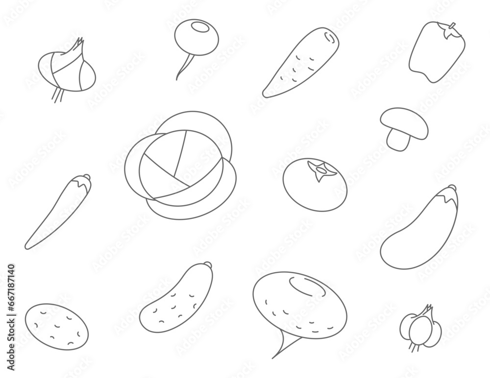 Vegetables line icons. Set vector icon of vegetable cabbage