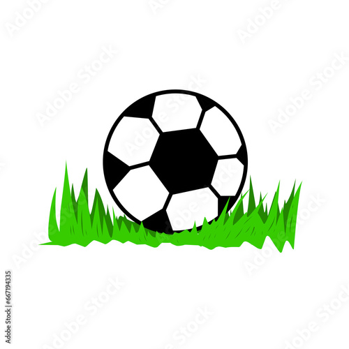 ball on green grass  isolated on Transparant background 