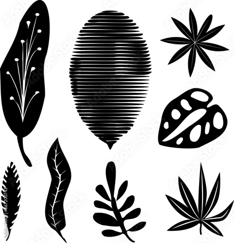 Set of black silhouettes of tropical leaves palm, trees, plants. Vector illustration