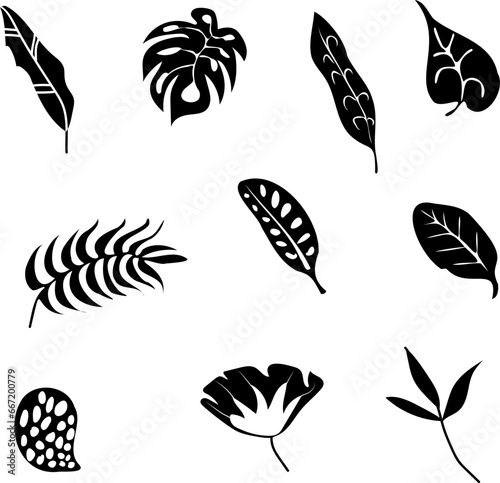 Set of black silhouettes of tropical leaves palm, trees, plants. Vector illustration