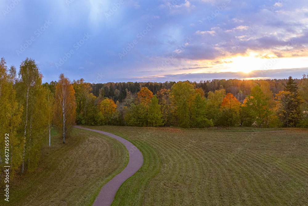 Naklejka premium autumn view from the observation tower of birch trees, mown grass and sunset, path on the left