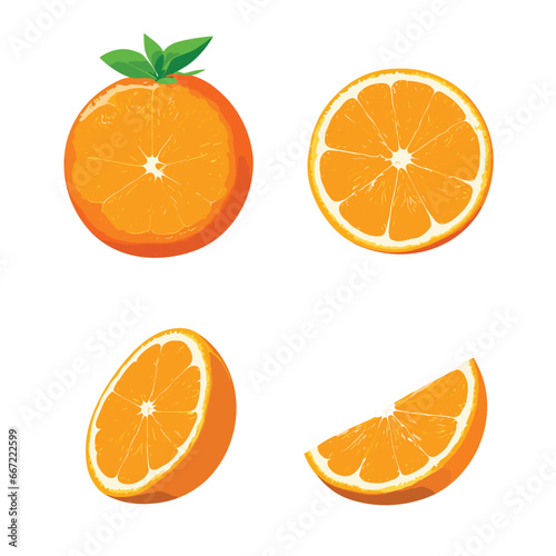 Sunny Citrus Spectacle Orange Vector Art