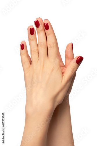 Woman hands with wine red color nails. Red nail polish. Square nail form.