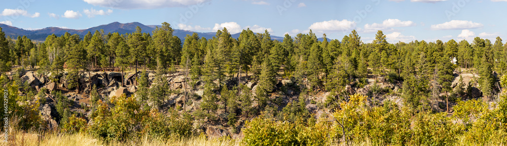 Fototapeta premium The colors of autumn. Scenic landscape in New Mexico