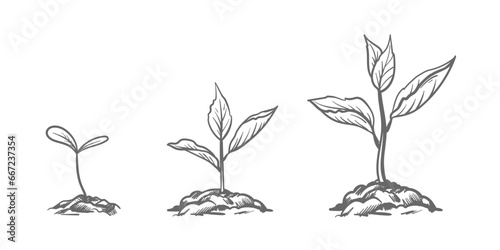 hand drawn sketch of tree planting. Seeds sprout in the ground. Seedlings of a garden plant. Sprouts, plants, trees.