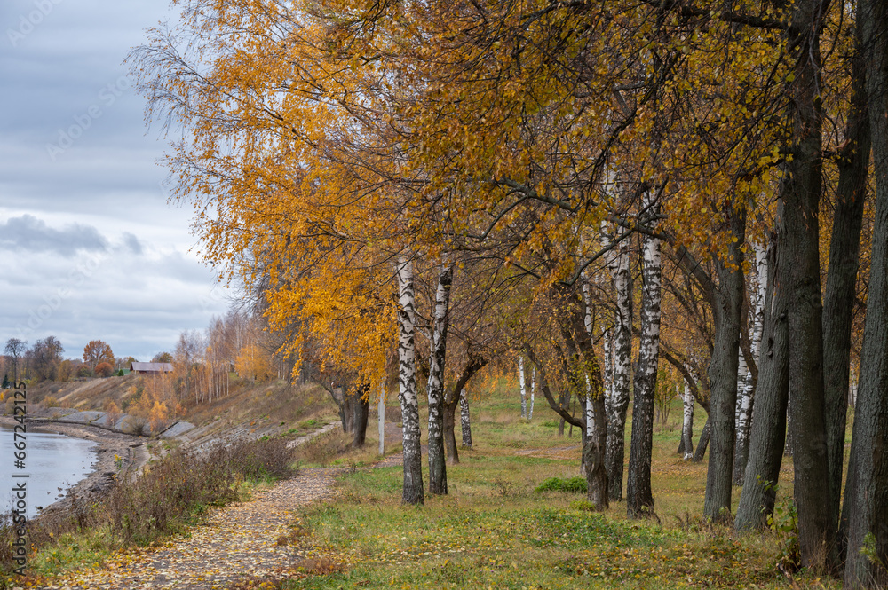 Autumn natural parkland on the riverbank.