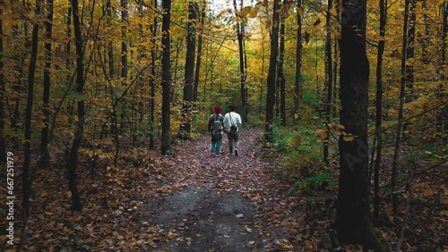 A guy and a girl walk holding hands in the autumn forest