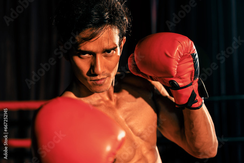 Muay Thai boxer punch his fist in front of camera in ready to fight stance posing at gym with boxing equipment in background. Focused determination eyes and prepare for challenge. Impetus