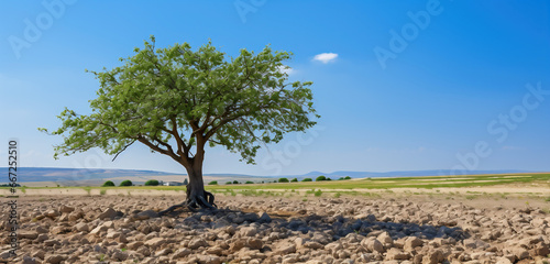 Drought. Landscape with a tree on very dry land. Desert landscape. The result of climate change. Generative artificial intelligence