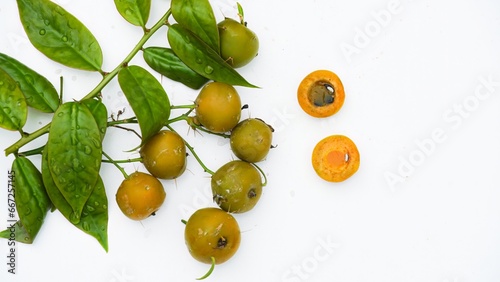 Frutas, sementes e folhas do ora-pro-nóbis, trepadeira, familia Cactaceae photo