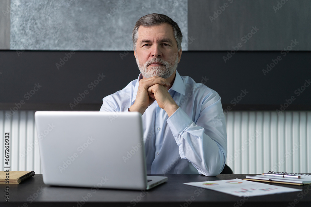 Businessman using laptop computer in office. Happy mature aged man, entrepreneur, small business owner working online. Businessman using laptop computer in office. Happy mature aged man, entrepreneur, small business owner working online.