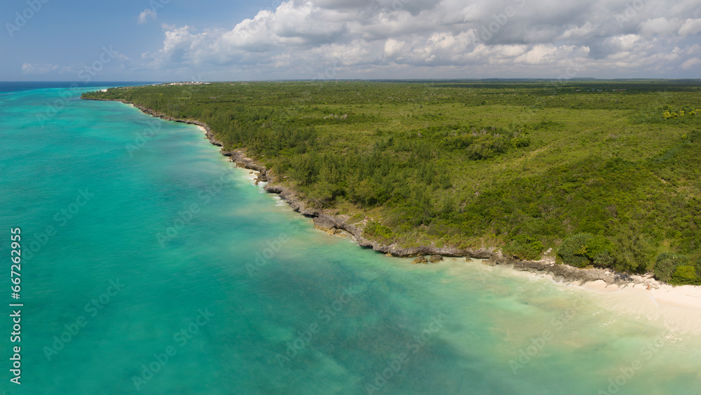Fototapeta premium wonderful aerial view of coastline and turquoise ocean in zanzibar at sunny day, tanzania.