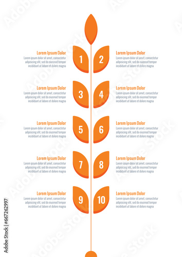 spike infographic template. ten steps wheat informational template. agriculture, nutrition, business, annual report, magazine, web, internet infographic template