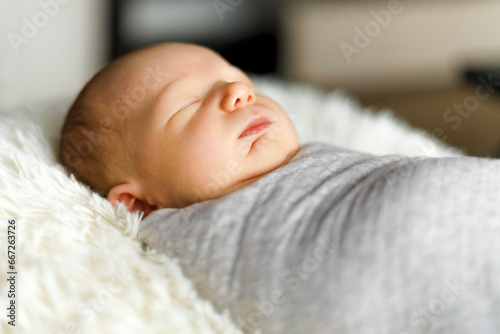 Cute sleeping newborn wrapped in a swaddle, laid on sheep's wool